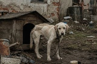 ŽENA-IN - Spáchala jsem trestný čin, ale vůbec toho nelituji. Ty jeho oči mě doslova hypnotizovaly, svěřuje se Marie